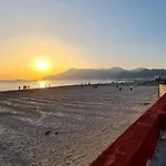 Salifornia Салерно