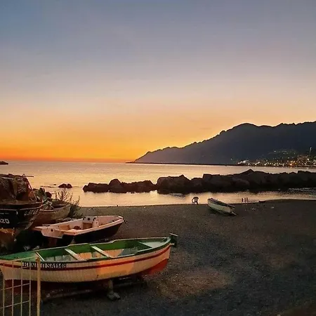 アパート Salifornia