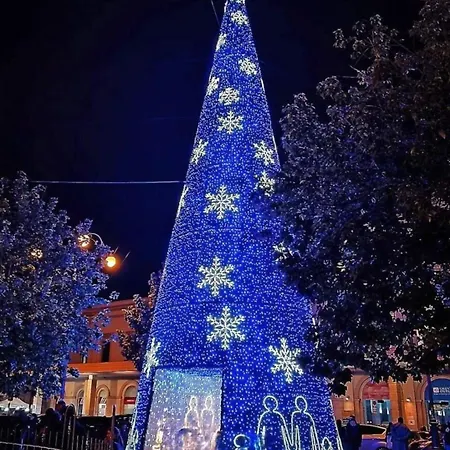 アパート Salifornia