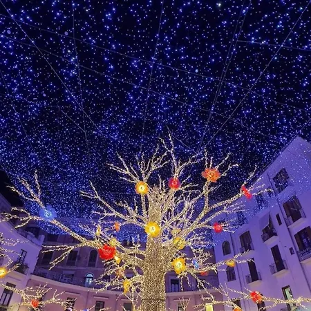 Salifornia アパート